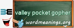 WordMeaning blackboard for valley pocket gopher